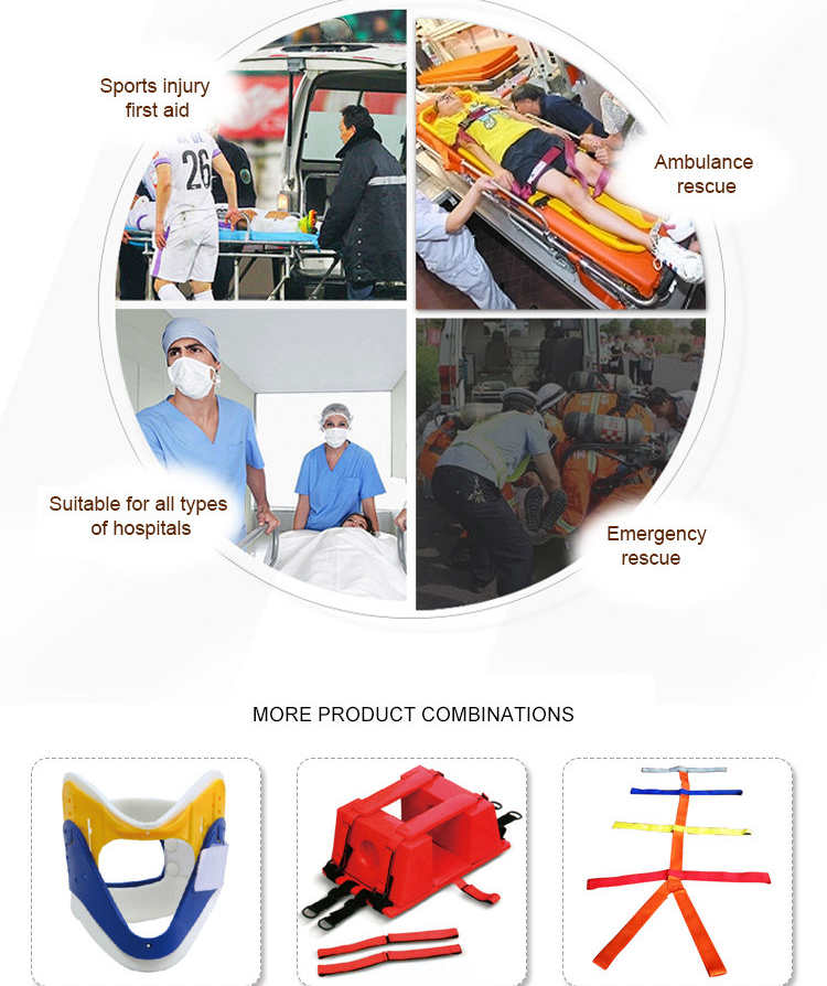 columna vertebral de columna vertebral