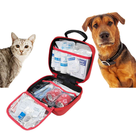 Kit de primeros auxilios para mascotas